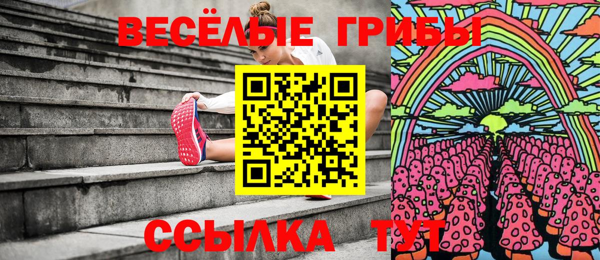 Псилоцибиновые грибы Psilocybe  Псилоцибиновые грибы GOLDEN TEACHER  закладки  Вход с VPN  Новозыбков 
