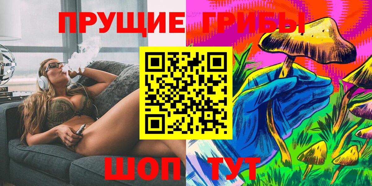 Псилоцибиновые грибы Psilocybe Новозыбков
