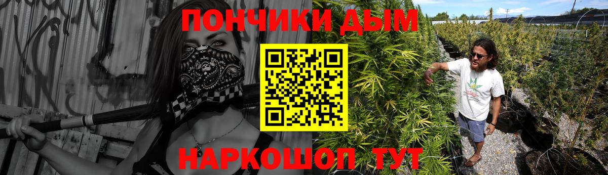 Бошки Шишки планчик Новозыбков