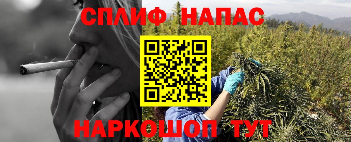 Шишки марихуана Amnesia  Марихуана тримм  Шишки марихуана White Widow  Новозыбков  Бошки Шишки White Widow  Вход с VPN 